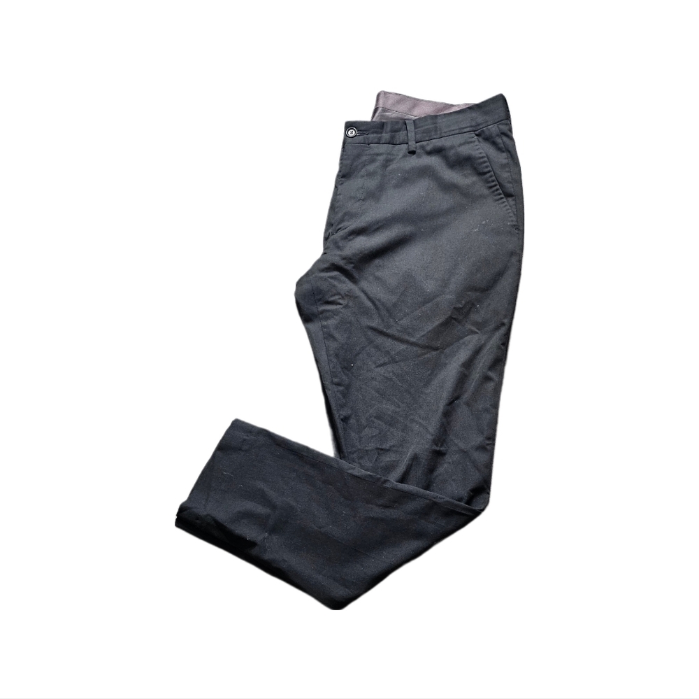 Zara Elegant pants
